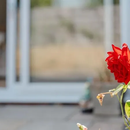 Spacious Garden And A64 - Dog Friendly Сasa de vacaciones